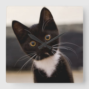 Cute Black And White Tuxedo Kitten Quadratische Wanduhr
