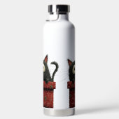 CUTE BLACK CAT SITTING IN A RED PRESENT TRINKFLASCHE (Rechts)