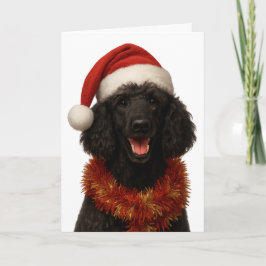 Cute black Poodle Christmas card Karte