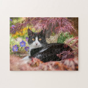 Cute Black-White Cat Resting under a Maple Tree - Puzzle