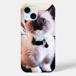 Cute Blue Eyed Masked Kitten Photograph Case-Mate iPhone Hülle