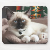 Cute Blue-Eyed Siamese Kitten Foto Mousepad (Vorne)