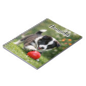 Cute Border Collie with Red Ball  Notizblock (Linke Seite)