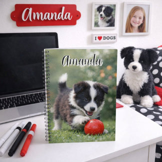 Cute Border Collie with Red Ball  Notizblock
