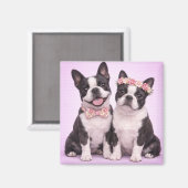 Cute Boston Terrier Couple Valentine Illustration  Magnet (Vorderseite/Rückseite)