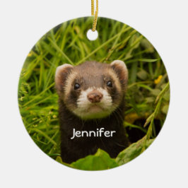 Cute Brown Ferret in the Grass Photo Keramik Ornament
