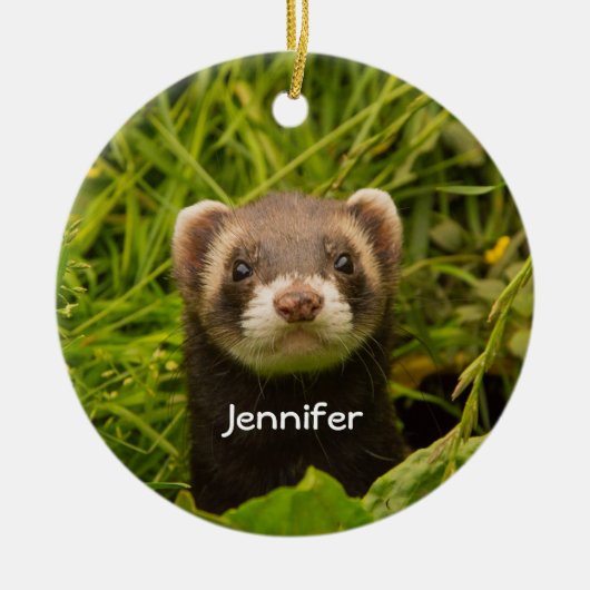 Cute Brown Ferret in the Grass Photo Keramik Ornament (Vorne)