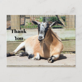 Cute Brown Goat Sleeping Photo Thank You Postkarte