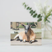 Cute Brown Goat Sleeping Photo Thank You Postkarte (Stehend Vorderseite)