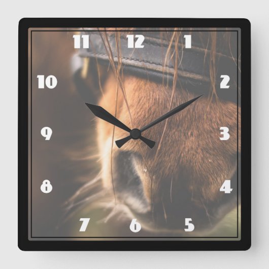 Cute Brown Horse Nose Quadratische Wanduhr (Vorderseite)