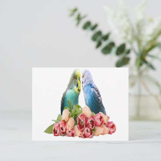Cute Budgie Design Postkarte (Stehend Vorderseite)