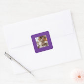 Cute bunny card quadratischer aufkleber (Umschlag)