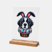 Cute Bunny Ear Saint Bernard Dog Easter Egg Owner  Acrylschild (Winkel)