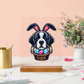 Cute Bunny Ear Saint Bernard Dog Easter Egg Owner  Acrylschild (Hochzeit)