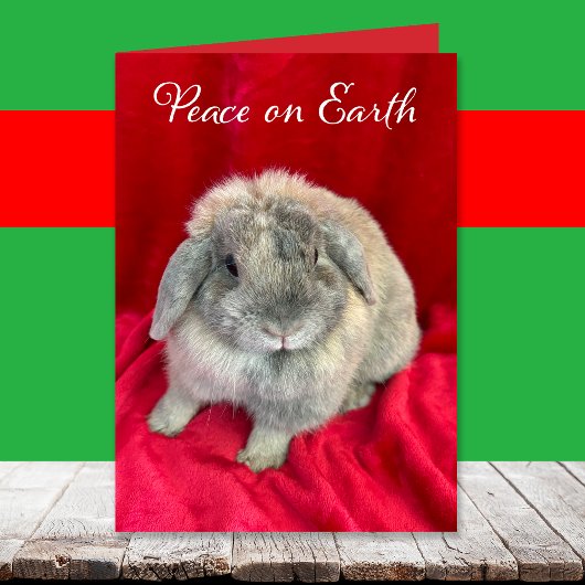 Cute Bunny Rabbit Christmas Cards Feiertagskarte