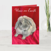 Cute Bunny Rabbit Christmas Cards Feiertagskarte (Vorderseite)