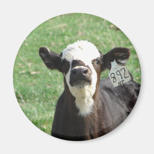 Cute Calf Magnet (Vorne)