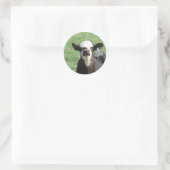 Cute Calf Runder Aufkleber (Tasche)