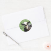 Cute Calf Runder Aufkleber (Umschlag)