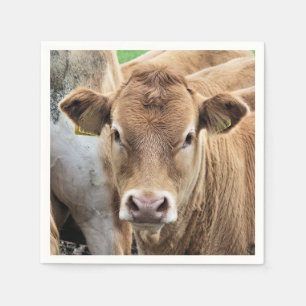 CUTE CALF SERVIETTE
