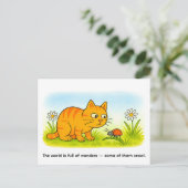Cute Cartoon Cat Watching Ladybug in Meadow Postkarte (Stehend Vorderseite)