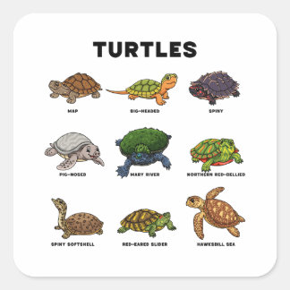 Cute Cartoon Turtles of the World Quadratischer Aufkleber
