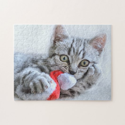 Cute Cat and Santa Claus Hat Puzzle (Horizontal)