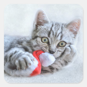 Cute Cat and Santa Claus Hat Quadratischer Aufkleber