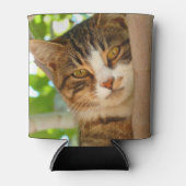 Cute Cat Climbing a Tree Dosenkühler (Vorderseite)