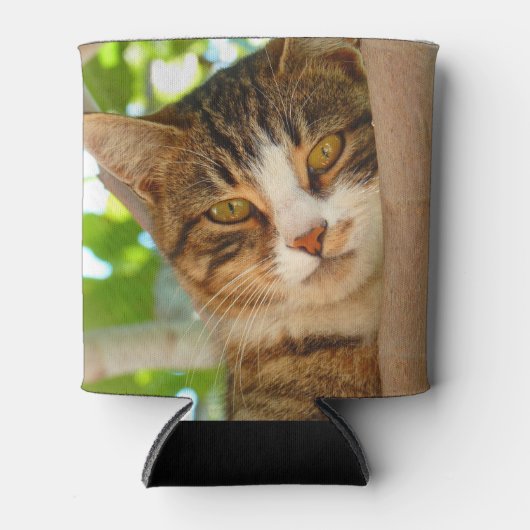 Cute Cat Climbing a Tree Dosenkühler (Vorderseite)