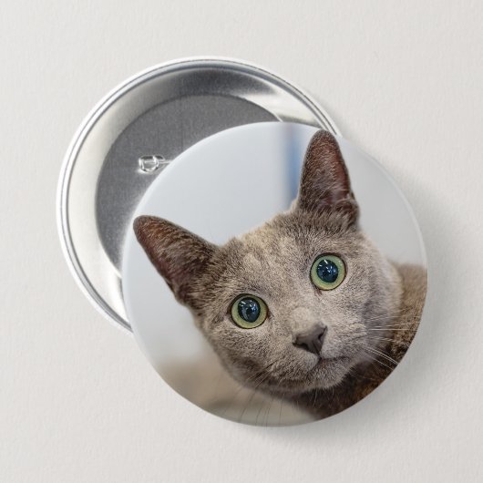 Cute cat-custom PET Foto von Button (Vorne & Hinten)