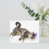 cute cat happy birthday postkarte (Stehend Vorderseite)