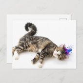 cute cat happy birthday postkarte (Vorne/Hinten)