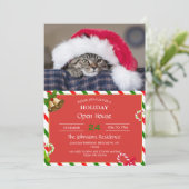 Cute cat in santa hat einladung (Stehend Vorderseite)