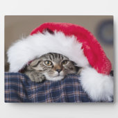 Cute cat in santa hat fotoplatte (Vorderseite)