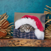 Cute cat in santa hat fotoplatte (Seite)