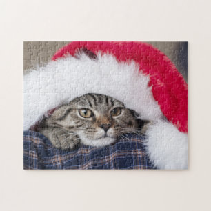 Cute cat in santa hat puzzle