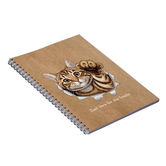 Cute Cat Notes - Spiral Photo Notebook Notizblock (Rechte Seite)