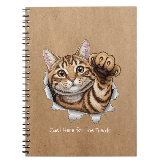 Cute Cat Notes - Spiral Photo Notebook Notizblock (Vorderseite)