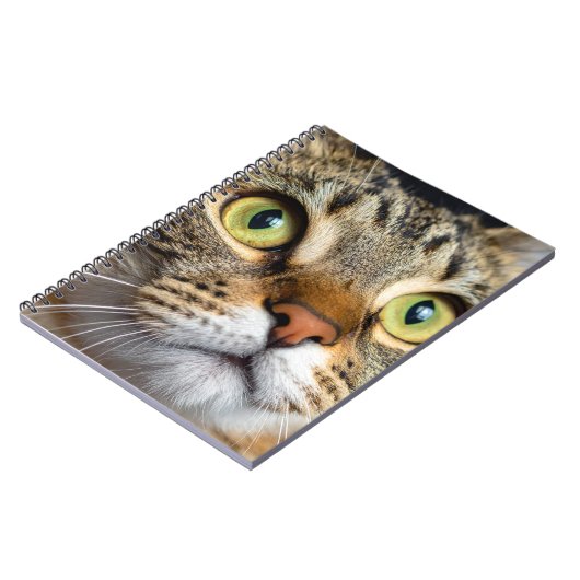 Cute cat notizblock (Linke Seite)