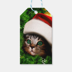 Cute Cat on Christmas tree Geschenkanhänger