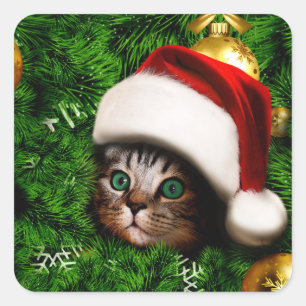 Cute Cat on Christmas tree Quadratischer Aufkleber
