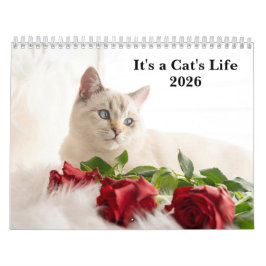 Cute Cat Photo It’s A Cat’s Life 2026 Kalender