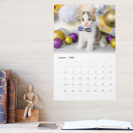 Cute Cat Photo It’s A Cat’s Life 2026 Kalender