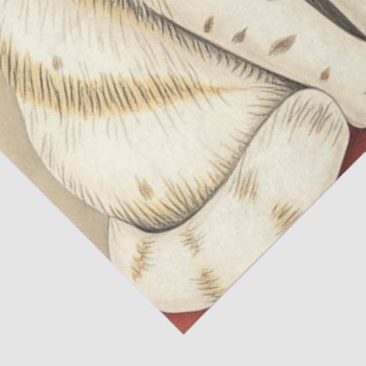 Cute Cat Tissue Paper Seidenpapier (Ausschnitt)