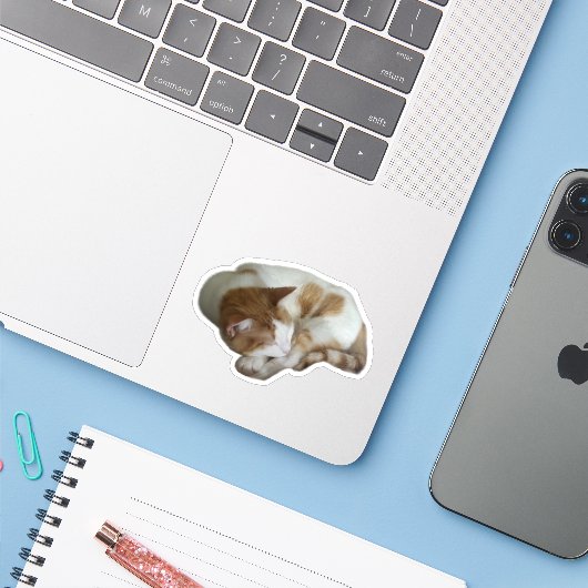 Cute Cat with Broken Heart Aufkleber (Laptop mit iPhone)