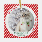 Cute Cats First Christmas Festive Keepsake  Keramikornament (Vorderseite)