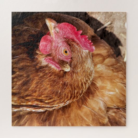 CUTE CHICKEN PUZZLE (Horizontal)