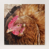 CUTE CHICKEN PUZZLE (Vertikal)