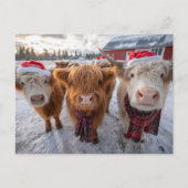 Cute Christmas Highland Cows in Snow Postkarte (Vorderseite)